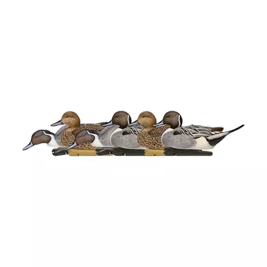 AVIAN-X Top Flight Pintail Decoys